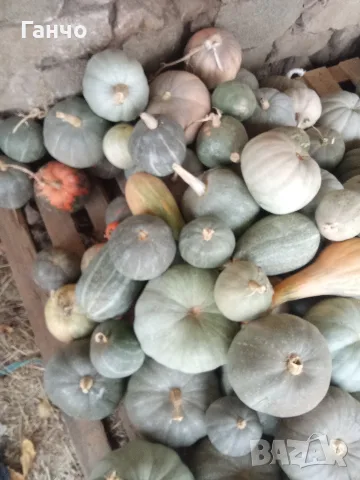 Тикви за животни.