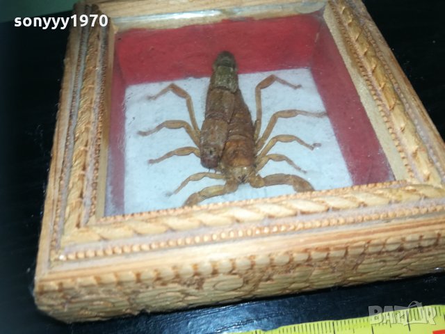 скорпион-внос france 1910201740, снимка 10 - Колекции - 30478693
