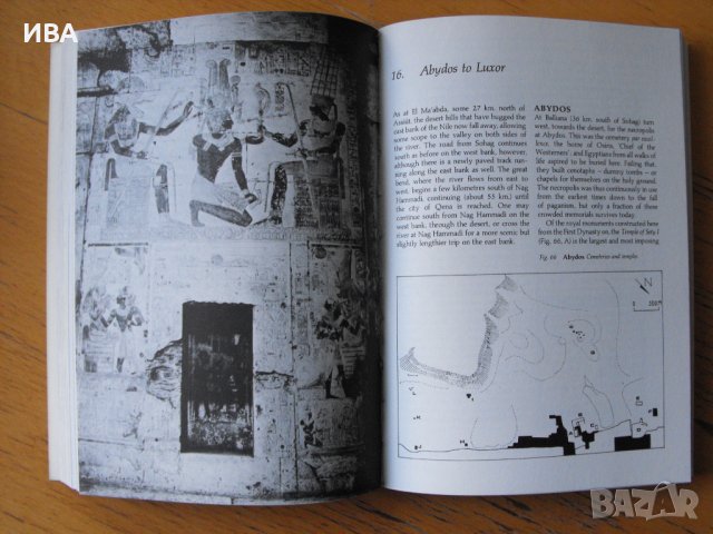 The Penguin Guide to ANCIENT EGYPT. William J. Murnane., снимка 3 - Енциклопедии, справочници - 39624057