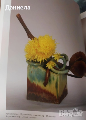 Икебана- Рима Мирска, снимка 6 - Други - 51509923