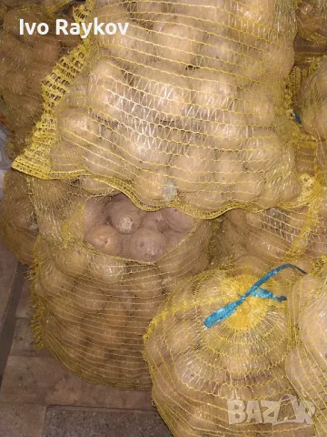 Картофи, Френско за чипс , Резене , Rezene, снимка 3 - Други - 48695284