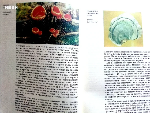 Атлас по Ботаника - Сл.Петров,Е.Паламарев - 1994г., снимка 4 - Специализирана литература - 55707383