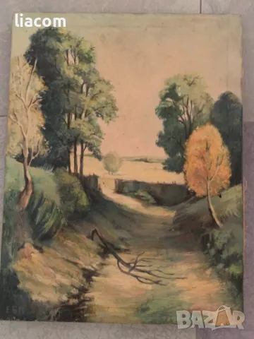 Евгени Петков масло/платно, снимка 1