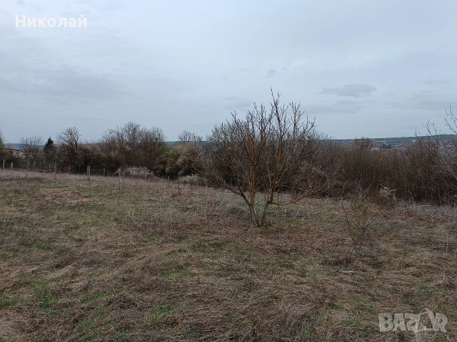 парцел в с. Шемшево , снимка 2 - Парцели - 54132918