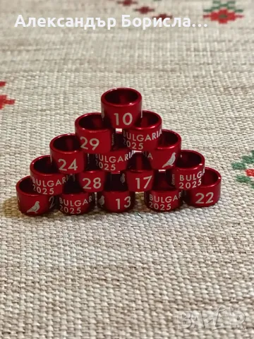 Пръстени за гълъби, папагали,канари за 2025 г, снимка 3 - Гълъби - 48763304