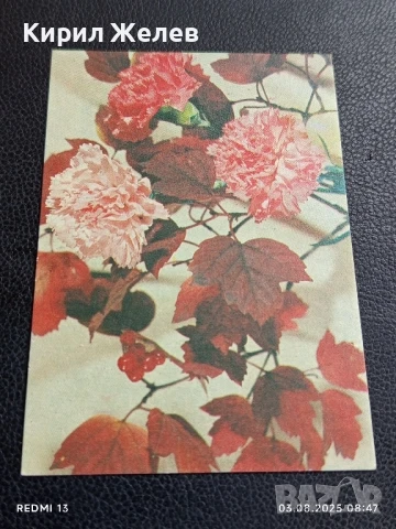 Старо календарче серия ЦВЕТЯ много красиво за КОЛЕКЦИЯ ДЕКОРАЦИЯ 25089, снимка 3 - Колекции - 51232480