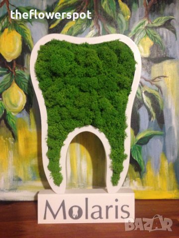 Подарък - За зъболекар и зъботехник - зъб със скандинавски мъх, снимка 9 - Други - 40661965