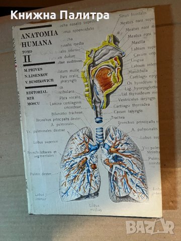 ANATOMIA HUMANA TOMO II