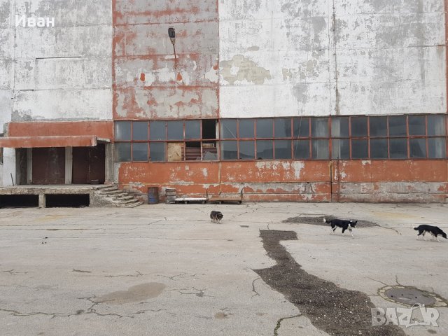 Дава под Наем ПРОМ. ПОМЕЩЕНИЕ област София, гр. Сливница, снимка 9 - Производствени сгради - 35126767