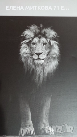 Картина черно-бял принт върху полиестерно платно в дървена подрамка, снимка 2 - Картини - 52542368