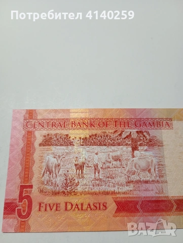 ГАМБИЯ БАНКНОТА 5 ДАЛАСИ 2015 Г , снимка 4 - Нумизматика и бонистика - 53132407