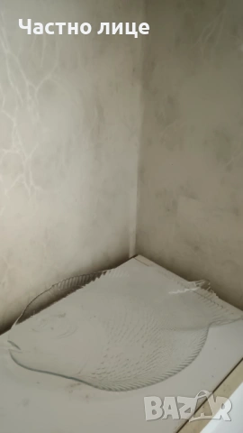 Стъклен поднос с формата на риба-4евро.