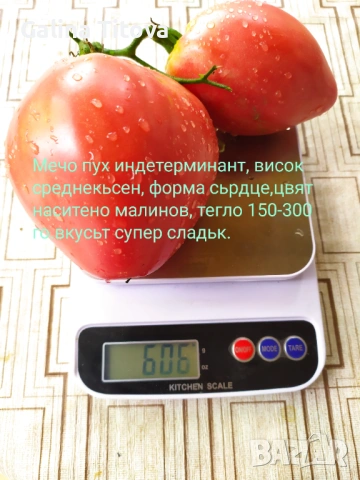 Продавам семена домати 55 сорта, снимка 8 - Сортови семена и луковици - 53097136