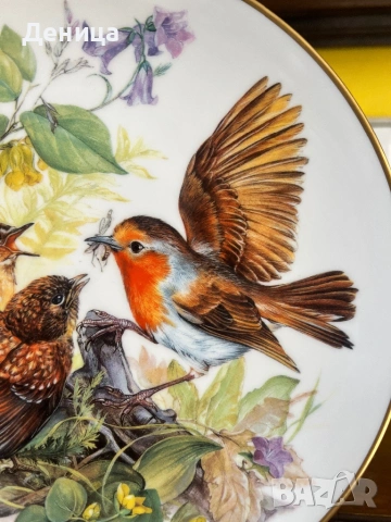 Чинията е много красива♥️ Колекционерска порцеланова чиния от серията „Hungrige Rotkehlchen“ (Гладни, снимка 4 - Други - 54117601