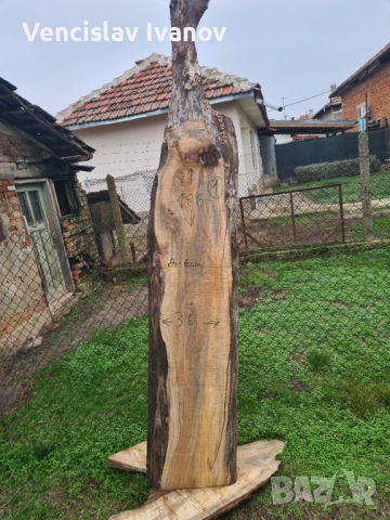 Орехов дървен материал, снимка 6 - Други - 52777251