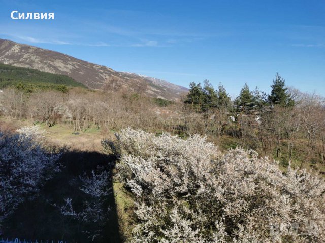 Тухлен апартамент в гр. Сопот КУПИ ПРЕДИ ЕВРОТО, снимка 3 - Апартаменти - 39961143