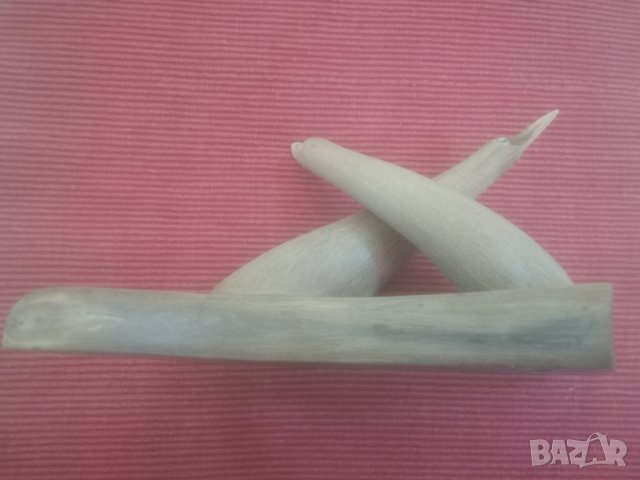 Стара статуетка от рог. , снимка 2 - Колекции - 31476169