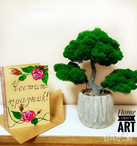 Бонзай със скандинавски мъх, снимка 6 - Декорация за дома - 33689210