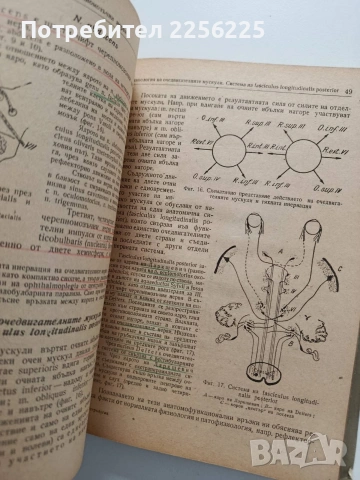 Практическо ръководство по неврология, снимка 2 - Специализирана литература - 54041486