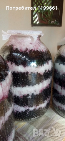 сироп от черен бъз , снимка 2 - Други услуги - 51570496