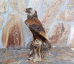 Декоративна фигура- Белоглав орел, снимка 4