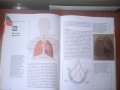 Детска енциклопедия "Знание" : Човешкото тяло, снимка 3