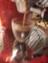 Продавам еспресо кафемашина Illy 7.1 , снимка 4