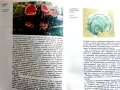 Атлас по Ботаника - Сл.Петров,Е.Паламарев - 1994г., снимка 4