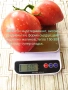 Продавам семена домати 55 сорта, снимка 8