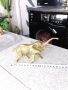 Слон от бронз,месингови рози, снимка 1