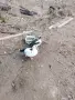 Свободни Неми Патици, снимка 6