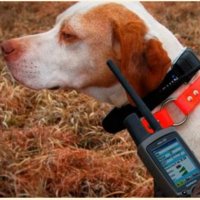 Електронен Бийпър за ловно куче , снимка 14 - Оборудване и аксесоари за оръжия - 31492331