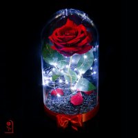 Вечна роза в ГОЛЯМА стъкленица - Оригинален подарък за жена / Уникален Подарък за Годишнина, снимка 2 - Декорация за дома - 30843510