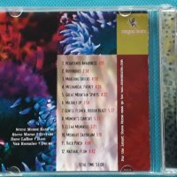 Steve Morse Band – 2002 - Split Decision(Blues Rock,Prog Rock), снимка 3 - CD дискове - 42238323