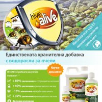 Hive Alive, Хайфа Лайф - Подобрява силата на Пчелните Семейства, от Водорасли - за Нозематоза, снимка 3 - За пчели - 37783631