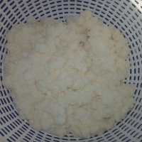 Продавам тибетска бяла млечна кефирена гъба за домашно производство на Кефир
