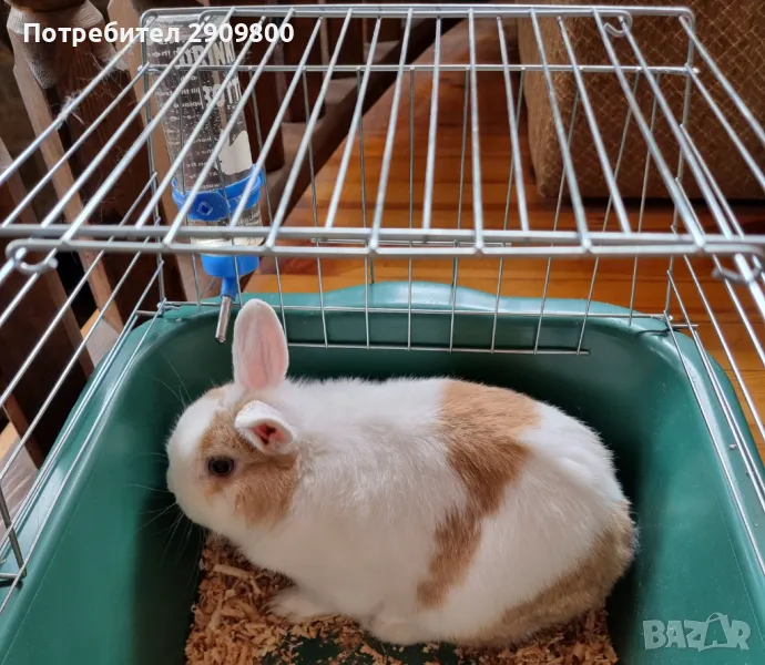 Подарявам, снимка 1