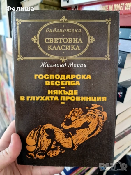 Господарска веселба; Някъде в глухата провинция - Жигмонд Мориц, снимка 1