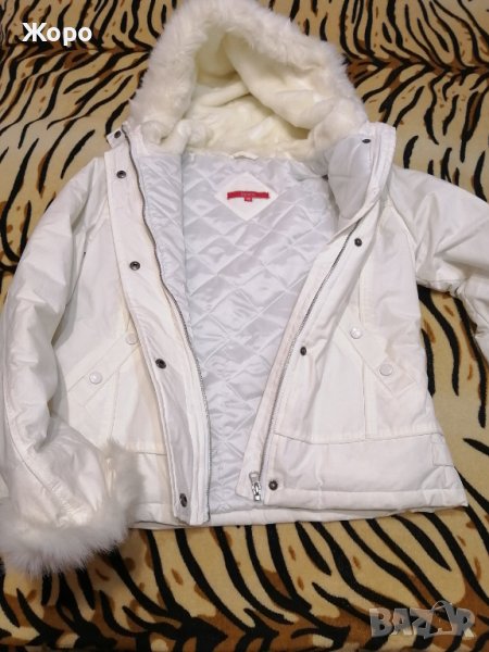 Дамско зимно Яке., снимка 1