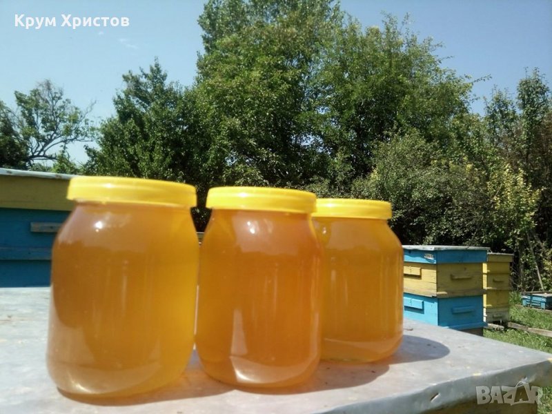 Български полифлорен пчелен мед 2023 -опаковки ~1кг. и ~25кг. (полски букет-слънчоглед), снимка 1