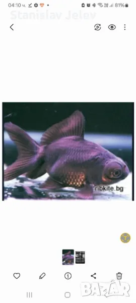 Черни московски телескопи, снимка 1