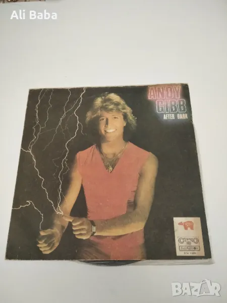 Плоча ВТА 11005 Andy Gibb. After Dark, снимка 1