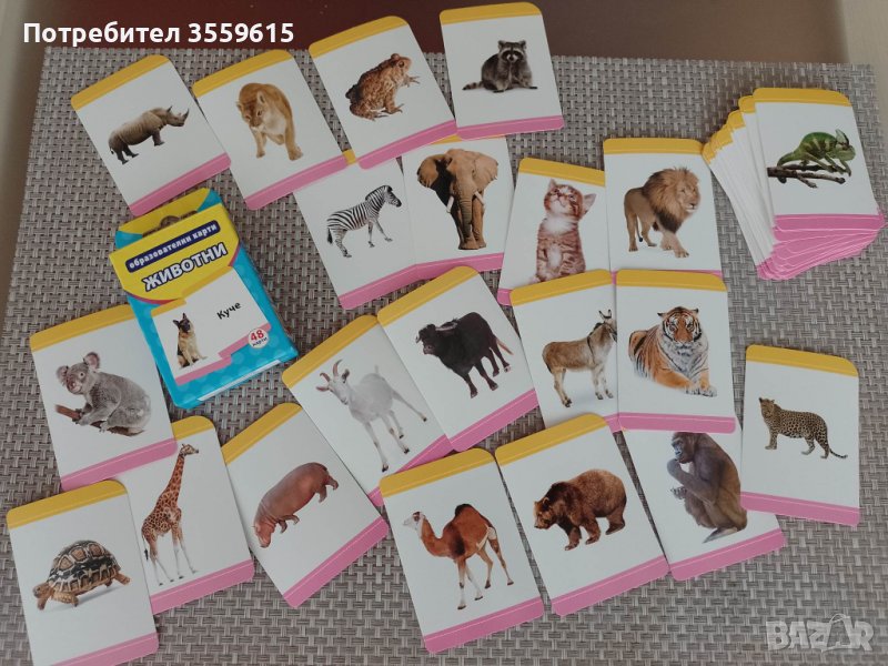 комплект 48 бр. детски образователни карти с животни, снимка 1