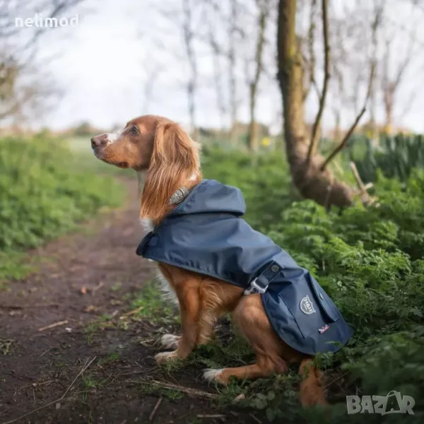 Hugo & Hudson ДЪЖДОБРАН ЗА КУЧЕТА , намалено 85 лв, снимка 1