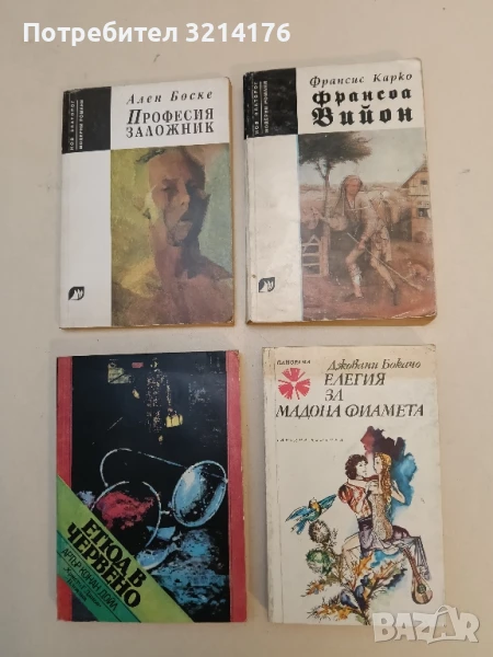 Елегия за мадона Фиамета - Джовани Бокачо , снимка 1