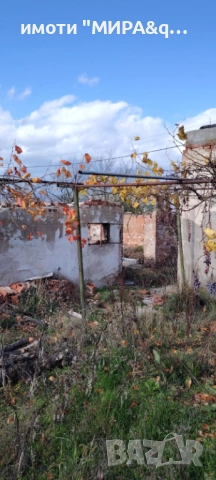 Парцел с лятна кухня и стара къща – С. Долно Сираково, обл. Хасково, снимка 8 - Парцели - 52610773