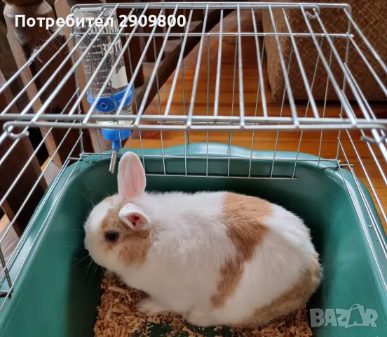 Подарявам, снимка 1