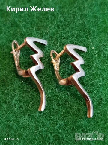 Сребърни дамски обеци СВЕТКАВИЦА подходящ аксесоар за ежедневието 17136