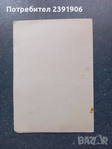 Владимир Коренев - Литографска Пролетна Картичка, снимка 4 - Филателия - 37473862