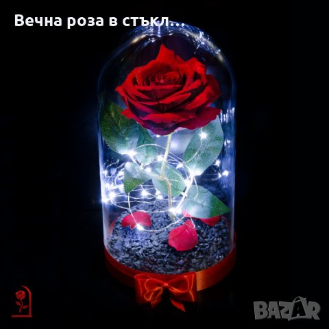 Вечна роза в ГОЛЯМА стъкленица - Оригинален подарък за жена / Уникален Подарък за Годишнина, снимка 2 - Декорация за дома - 30843510